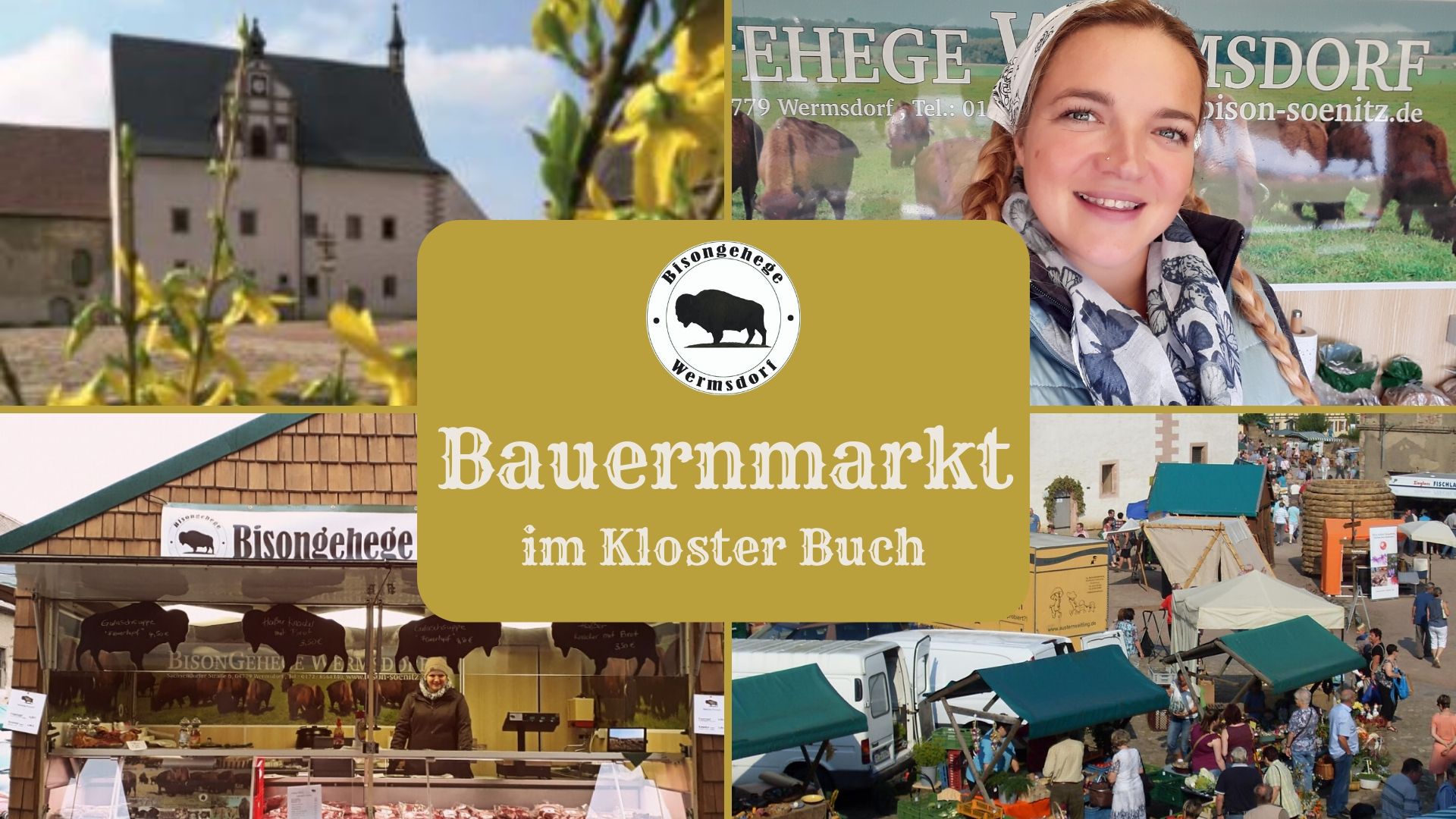 Bauernmarkt Kloster Buch Bisongehege Wermsdorf